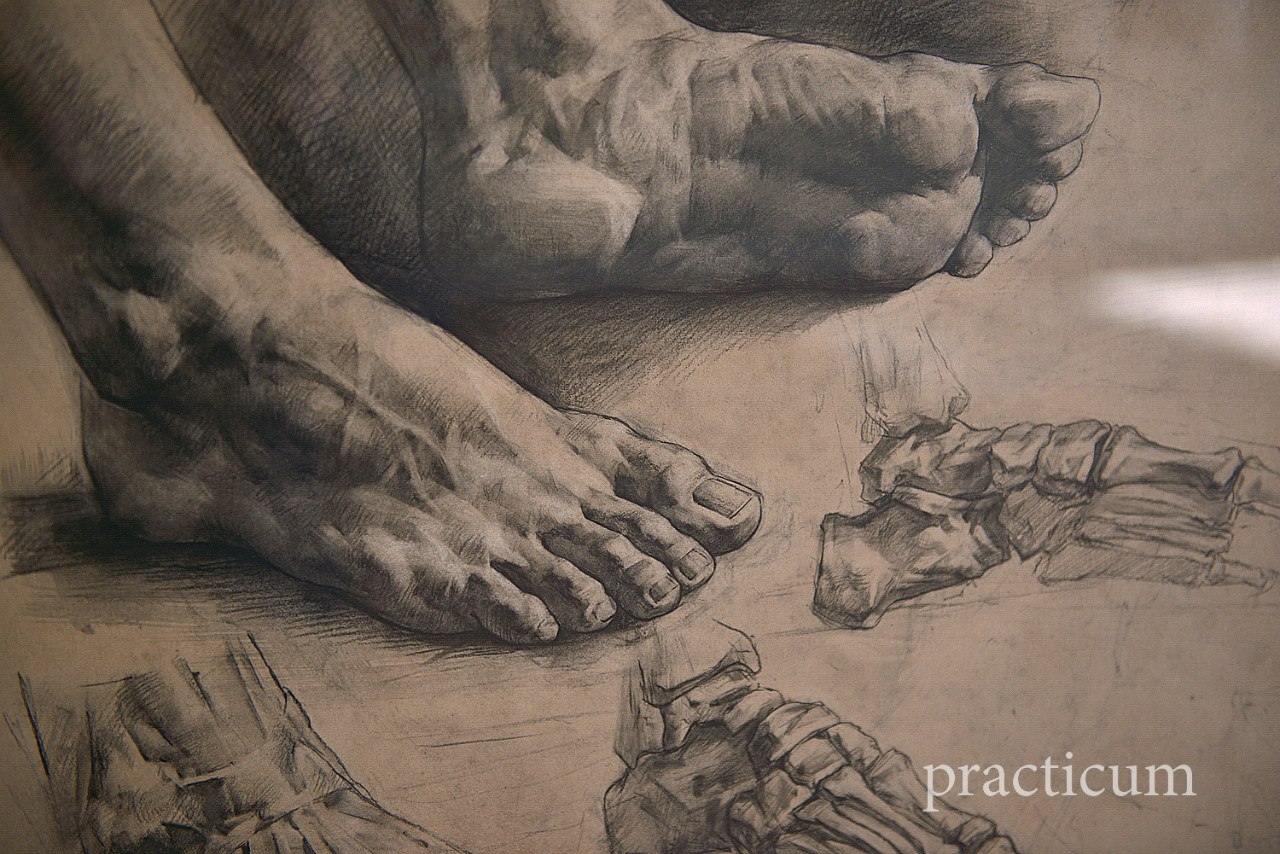 Drawing Feet