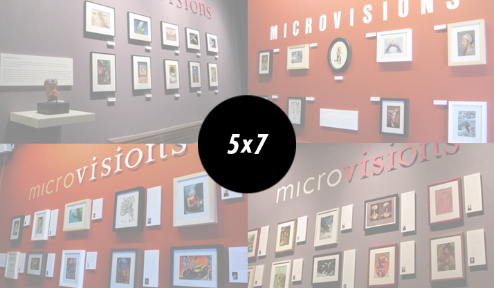 MicroVisions 7 Contributors Announced