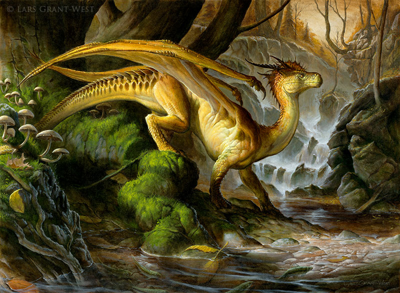 Dragon Design in the Natural World