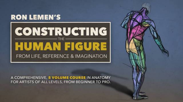 Constructing the Human Figure : 5 Volume Set