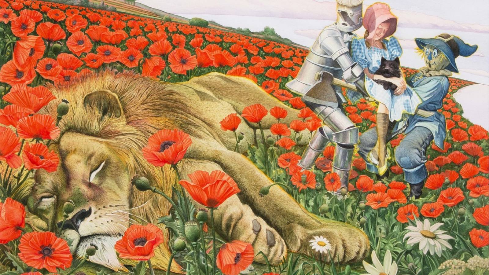 Страна оз картинки