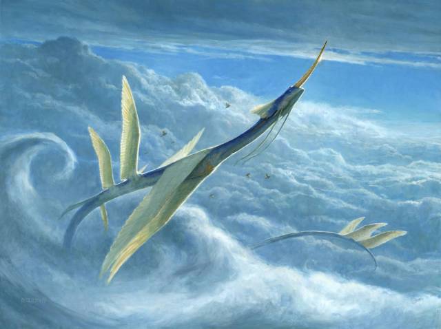 yorion sky nomad yorion sky nomad