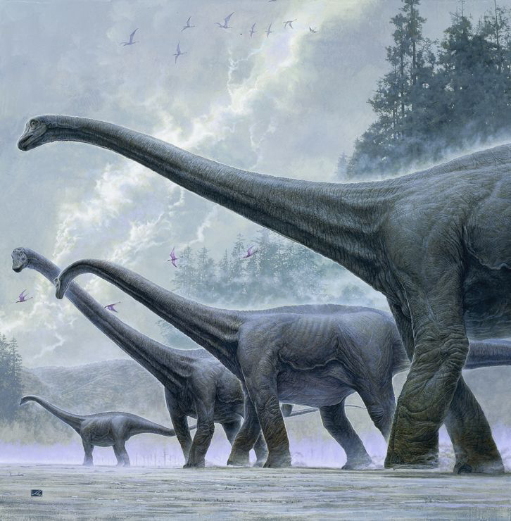 Динозав. Диплодок Аргентинозавр. Зауроподы Аргентинозавр. Диплодок динозавр Аргентинозавр. Тираннозавр и Диплодок.