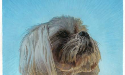 Cooper In Gouache