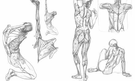Learning to Draw Anatomy from Imagination