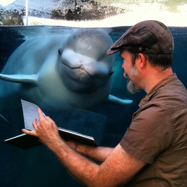 That time I talked with a whale….
