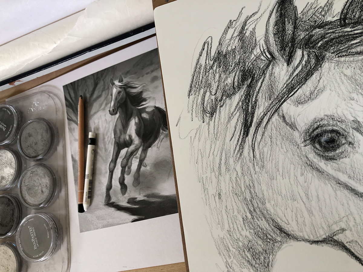 Things to Think About When Illustrating Horses