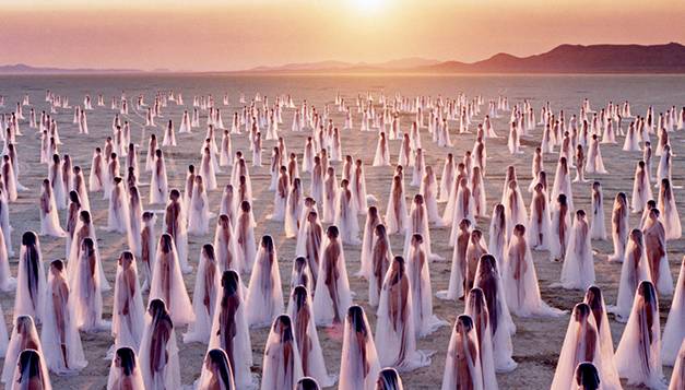 Contemporary Inspirations