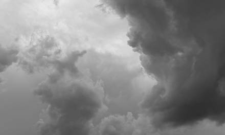 Reflecting with Gratitude