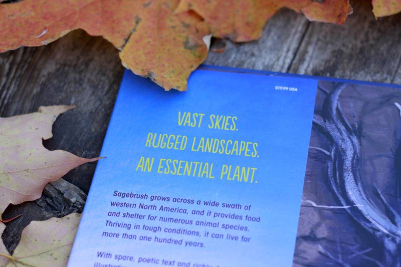 book flap for the big empty book on ecosystems