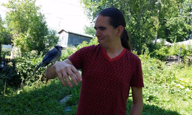 My Brother Nanaboozhoo